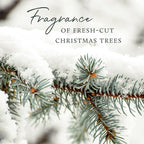 Thymes Reed Diffuser Oil Refill - Image 5