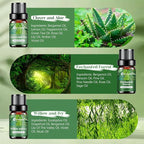 Fragrance Oils Set, Essential Oils - Image 8