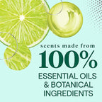 Seventh Generation Dish Soap Fresh Lime & Ginger Scent 1 count Dishwashing Soap - Image 5