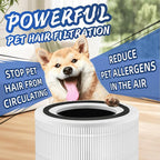 240 True HEPA Replacement Filter 14 - Image 7