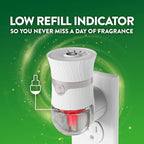 Air Wick Scented Oils 0+5 Lavender & Chamomile​ - Image 11