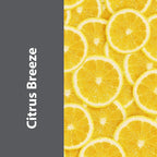 Pro-Grade Multi-Purpose Probiotic Enzyme Cleaner - Image 5