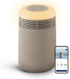 BLUEAIR Purifier for Bedroom by BlueairInc
