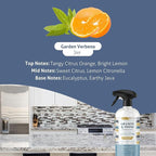 Therapy Granite Cleaner Kit - Image 4
