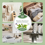 Citrus Magic For Closets Odor Absorbing Solid Air Freshener, Bamboo Rainforest - Image 8