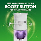 Air Wick Scented Oils 0+5 Lavender & Chamomile​ - Image 10