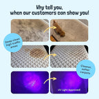 Sunny & Honey Carpet Cleaner Solution - Image 2