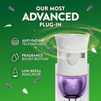 Air Wick Scented Oils 2+6 Lavender & Chamomile - Image 9