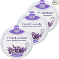 Citrus Magic For Closets Odor Absorbing Solid Air Freshener, Fresh Lavender by CitrusMagic