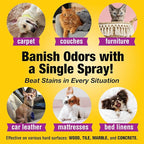 Pet Carpet Cleaner & Urine Odor Eliminator - Image 6