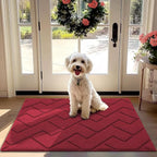 hicorfe Front Door Mat Outside Entrance, Stain and Fade Resistant, Non Slip by Hicorfe