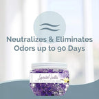 SMELLS BEGONE Odor Eliminator Gel Beads - 12 oz - Image 2