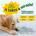 Sunny & Honey Pet Stain & Odor Miracle - Image 3