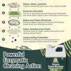 Enzyme Carpet Cleaner - Image 2
