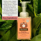 Moon Valley Herbal Foaming Hand Soap - Image 3