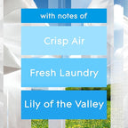 Glade PlugIns Refills Air Freshener, Scented and Essential Oils - Image 5
