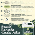 Enzyme Carpet Cleaner - Image 2