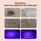 Sunny & Honey Pet Stain Remover & Enzyme Cleaner - Image 2