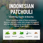Laundry Sauce Fabric Refresher Spray Indonesian Patchouli, Odor-Fighting Fabric - Image 4
