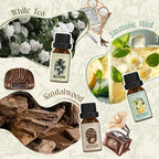 Hotel Fragrance Oils Set, Essential Oil Gift Set - Image 2