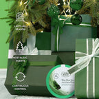 Citrus Magic Holiday Odor Absorbing Solid Air Freshener, Winter Wonder Green - Image 5