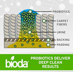 Bioda Multi-Purpose Probiotic Enzyme Cleaner and Deodorizer | Professional - Image 4