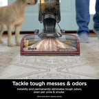 Shark CarpetXpert HairPro Upright Carpet Cleaner, Lightweight & Powerful - Image 5