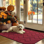 hicorfe Indoor Door Mat, Non Slip Door Mats, Absorbent Resist Dirt Entrance by Hicorfe