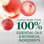Seventh Generation Foaming Dish Spray, Honey Crisp Apple 16 Fl Oz, Refill Pack - Image 8