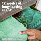 Downy Infusions In-Wash Laundry Scent Booster Beads, Botanical Florals and - Image 3