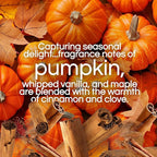 Air Wick Plug In Advanced Scented Oils Refills, Harvest Pumpkin + Spice - Image 3