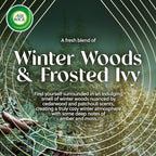 Air Wick Plug In Advanced Scented Oil, Winter Woods + Frosted Ivy, Air - Image 2