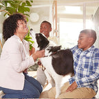 Filtrete 16x21x1 AC Furnace Air Filter, MERV 11, MPR 1000, Micro Allergen - Image 9