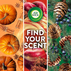 Air Wick Scented Oils 0+10 Apple Cinnamon Medley​ - Image 6
