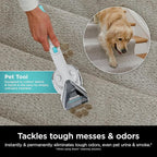 Shark CarpetXpert with StainStriker Upright Carpet, Area Rug & Upholstery - Image 6