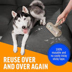 ChomChom Roller Pet Hair Remover - Image 4