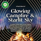 Air Wick Plug In Vibrant Scented Oils Refills, Campfire & Starlit Sky, 5 ct - Image 2