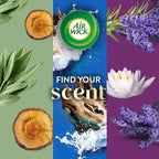 Air Wick Plug in Scented Oil Refill, Air Freshener, Essential Oils - Image 6
