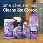 CLOROX Scentiva ToiletWand Toilet Cleaner Refills, Toilet brush, Lavender and - Image 9