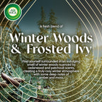 Air Wick Plug In Vibrant Scented Oil, Campfire + Winter Woods, Air Fresheners - Image 2