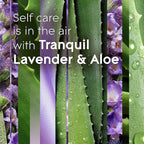 Glade PlugIns Refills Air Freshener, Tranquil Lavender & Aloe, Scented and - Image 4